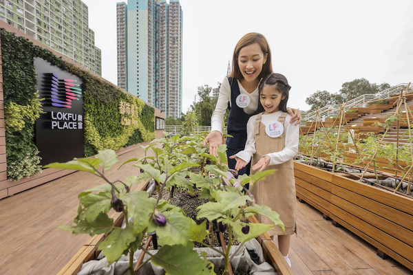 Lok Fu Place Launches the “Herbal Harvest” Campaign: The Only Shopping Centre in Kowloon with an Urban Farm