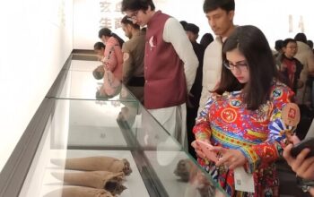 china matters' feature: zhengzhou: interactive exhibitions on the international museum day